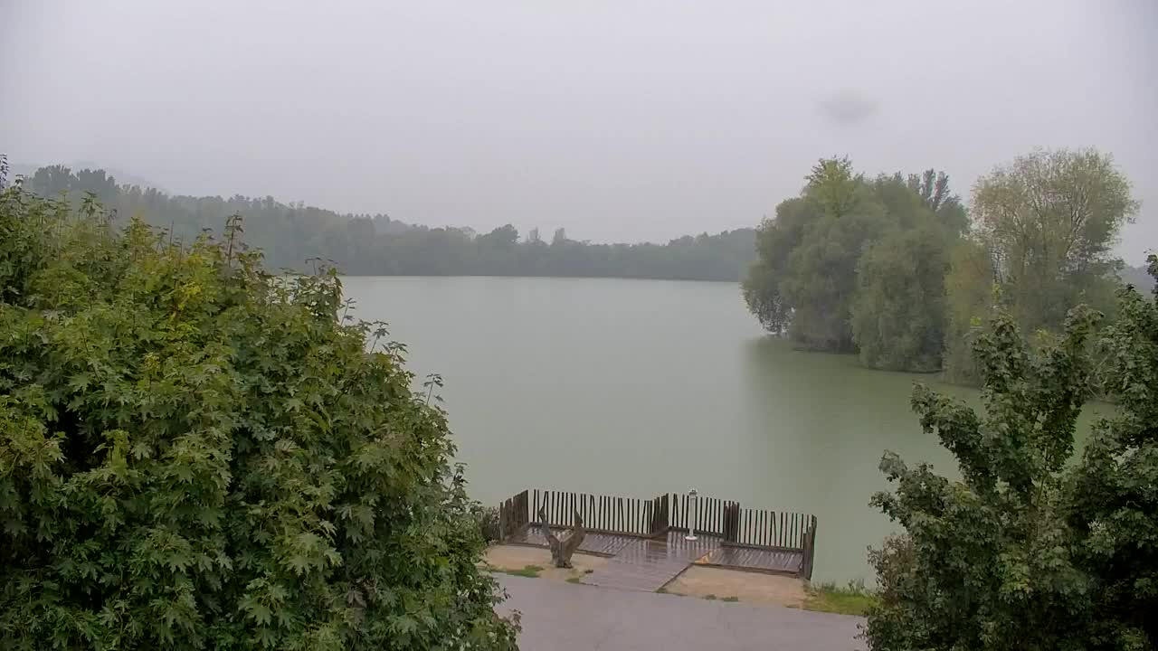 Webcam Ribnik Vrbje – Žalec