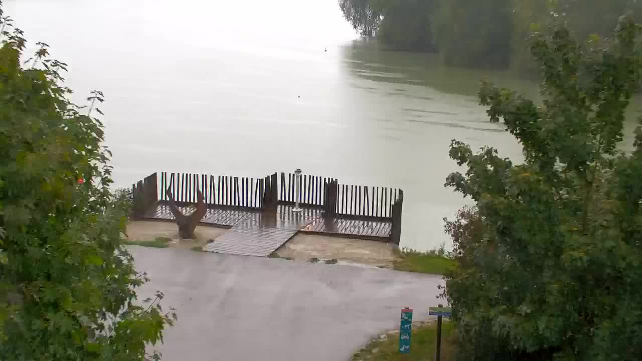 Webcam Ribnik Vrbje – Žalec
