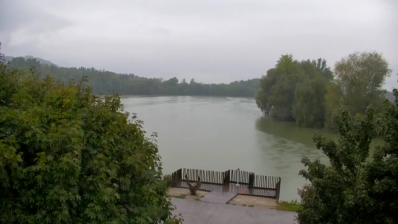 Webcam Ribnik Vrbje – Žalec