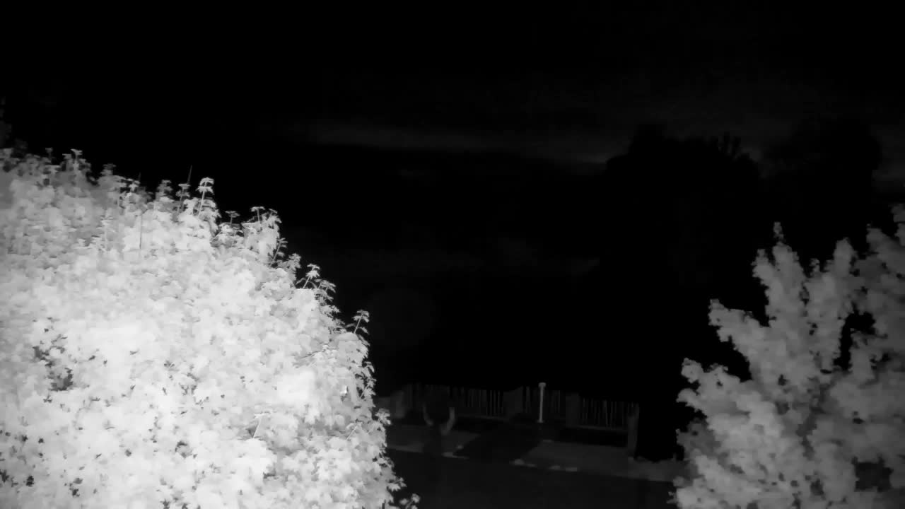 Webcam Ribnik Vrbje – Žalec