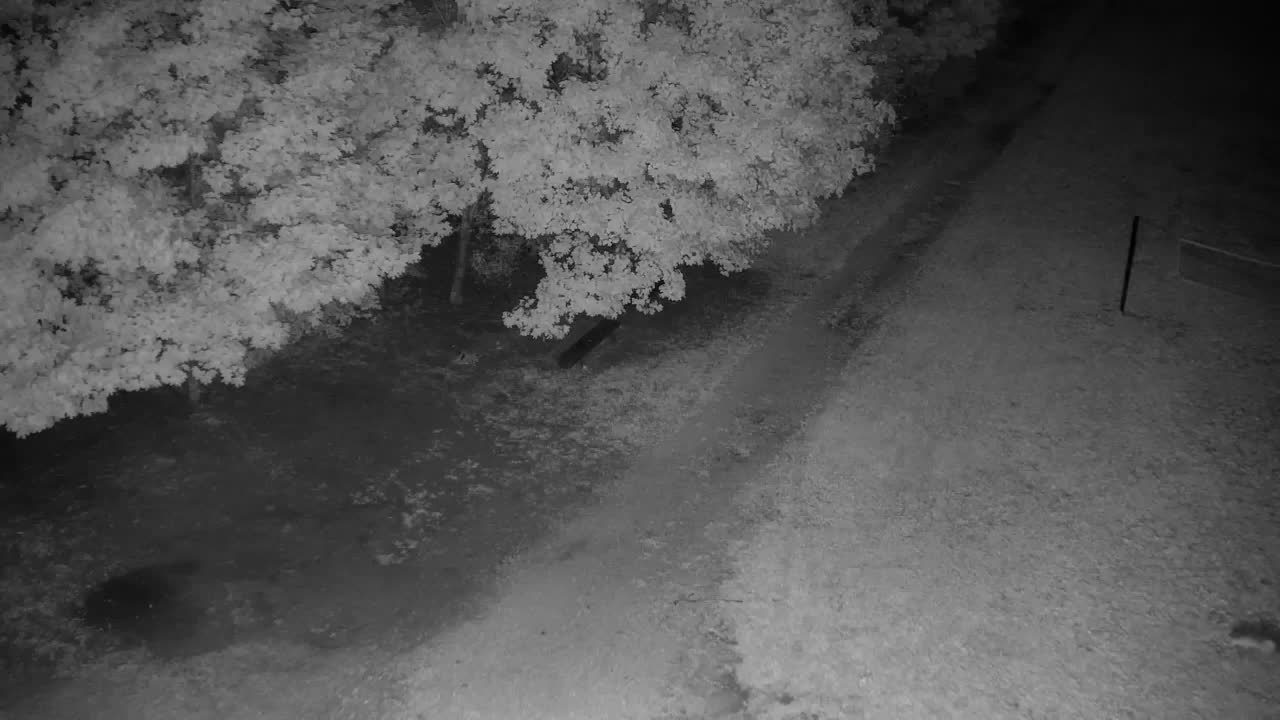 Webcam Ribnik Vrbje – Žalec