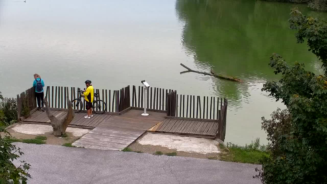 Webcam Ribnik Vrbje – Žalec