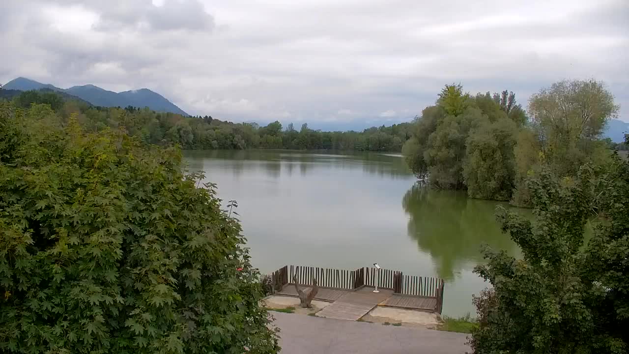 Webcam Ribnik Vrbje – Žalec