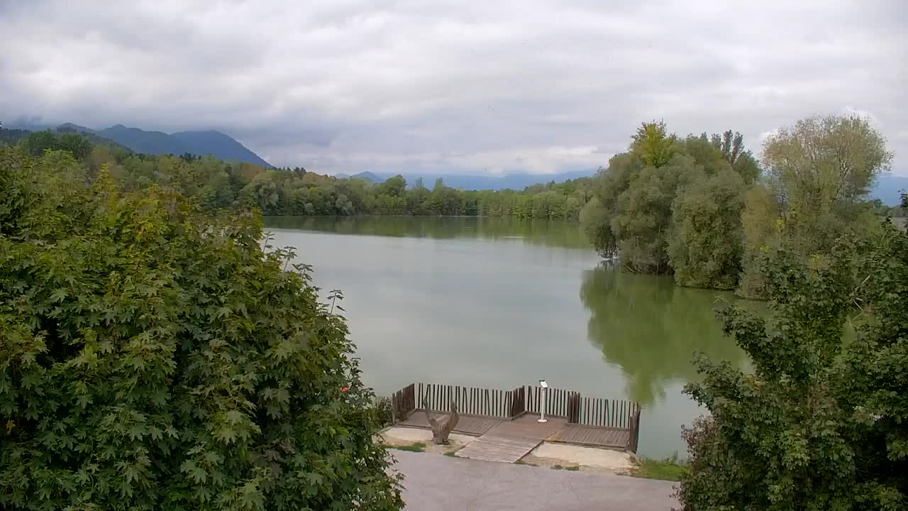 Webcam Ribnik Vrbje – Žalec
