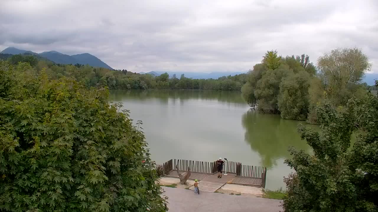 Webcam Ribnik Vrbje – Žalec