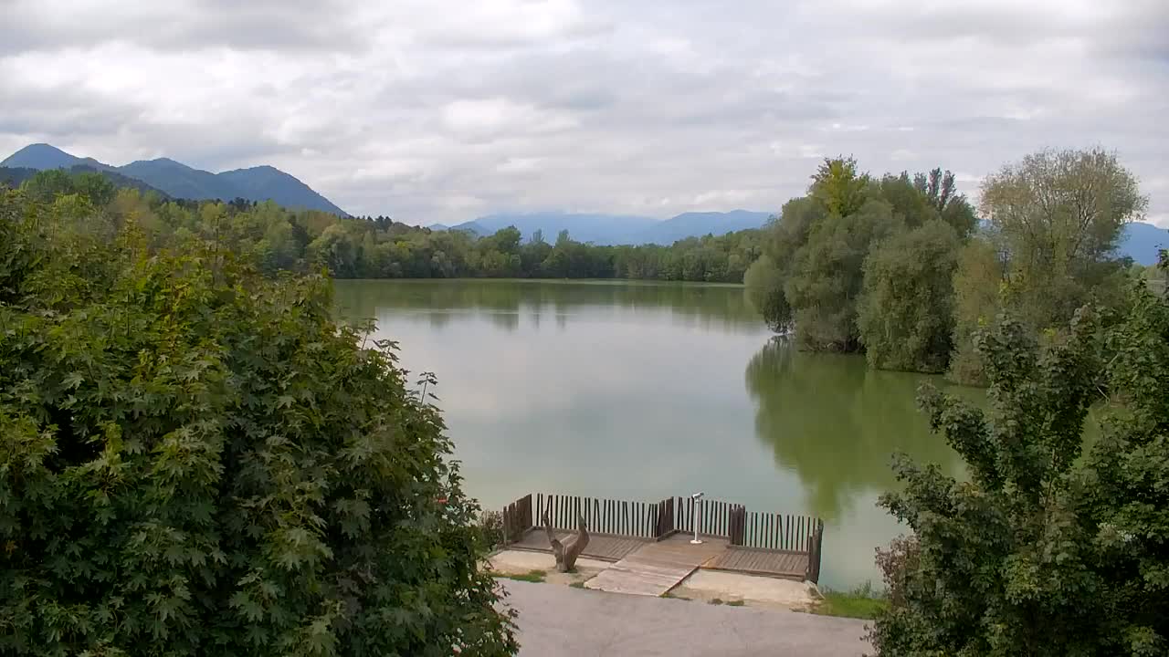 Webcam Ribnik Vrbje – Žalec