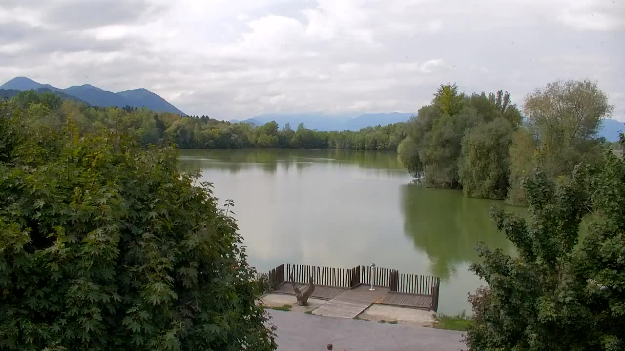 Spletna kamera Ribnik Vrbje – Žalec