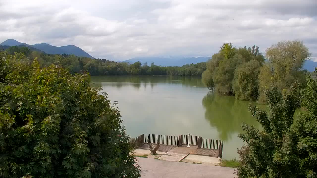 Spletna kamera Ribnik Vrbje – Žalec