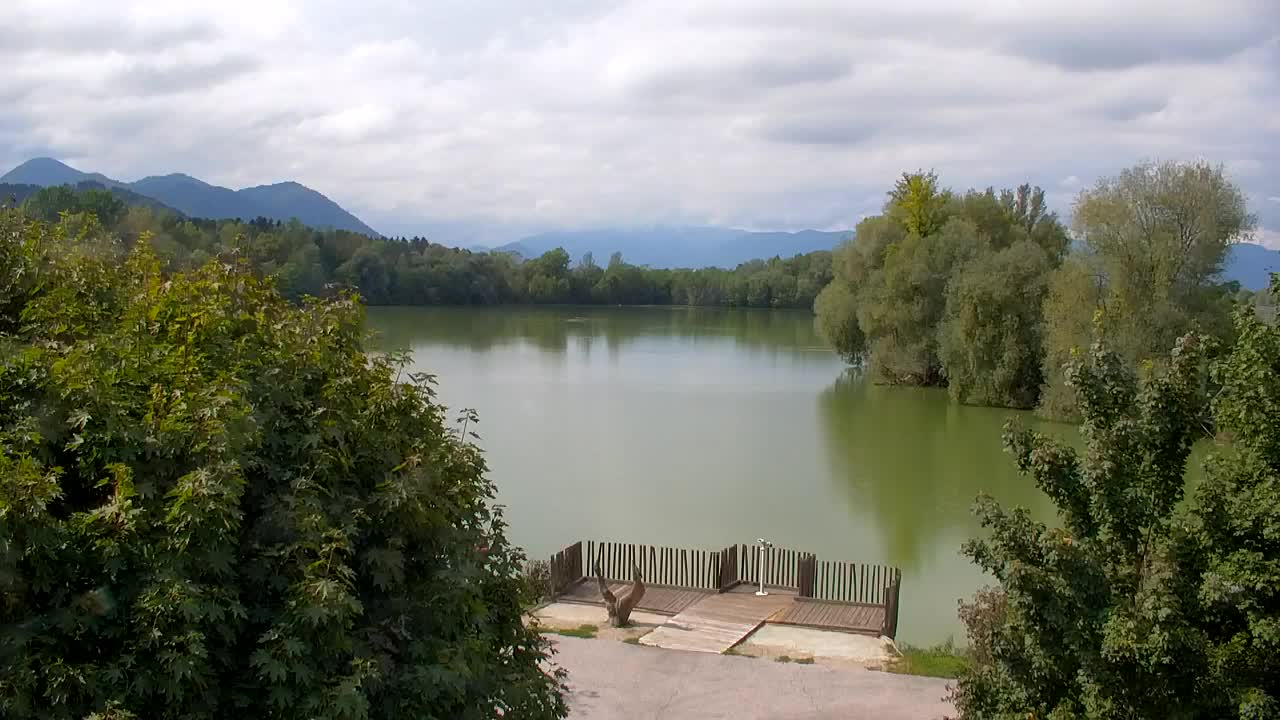 Webcam Ribnik Vrbje – Žalec