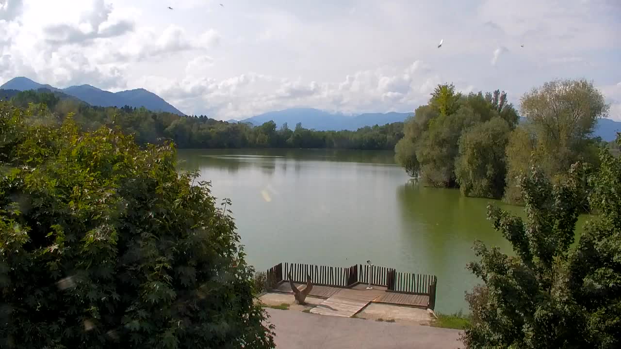 Spletna kamera Ribnik Vrbje – Žalec