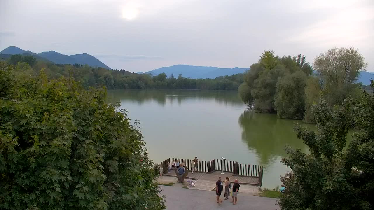 Webcam Ribnik Vrbje – Žalec