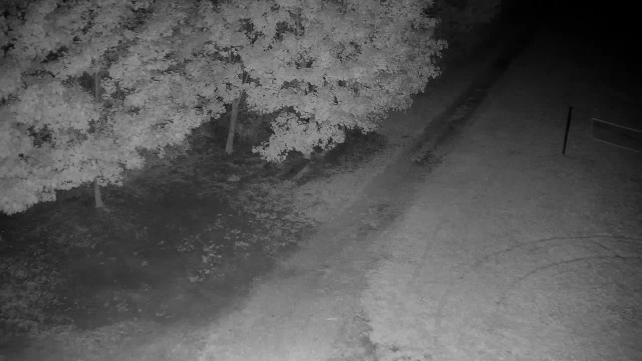 Webcam Ribnik Vrbje – Žalec