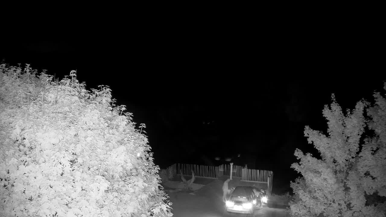 Webcam Ribnik Vrbje – Žalec