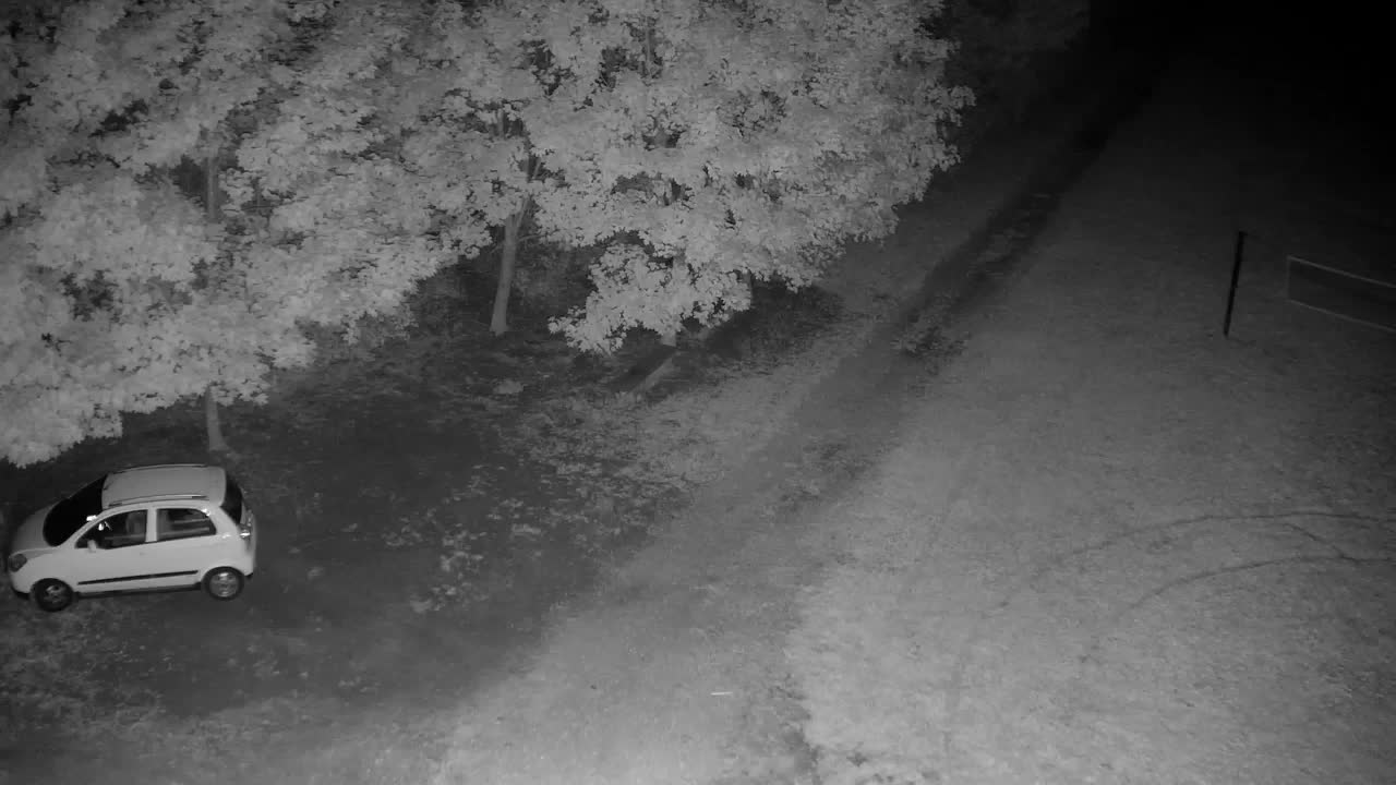 Webcam Ribnik Vrbje – Žalec