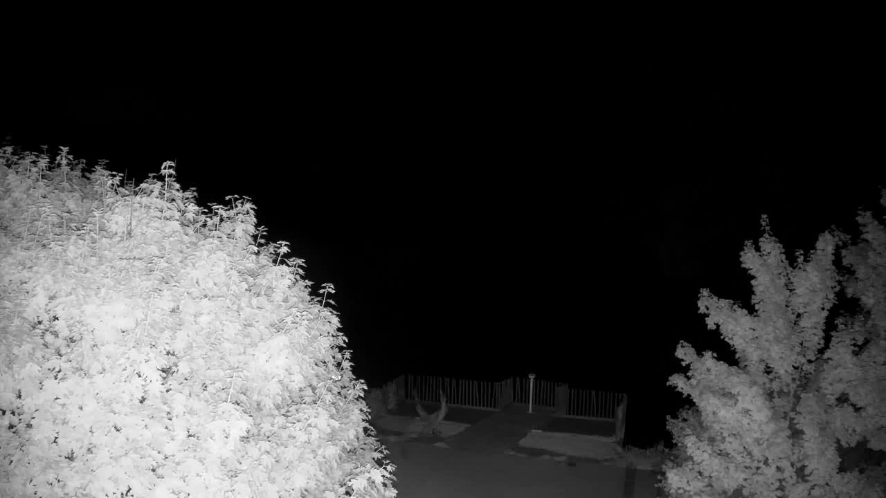 Webcam Ribnik Vrbje – Žalec