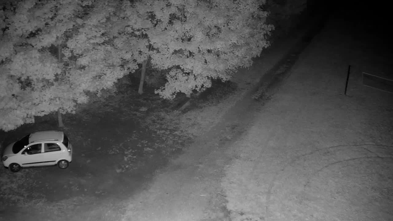 Webcam Ribnik Vrbje – Žalec