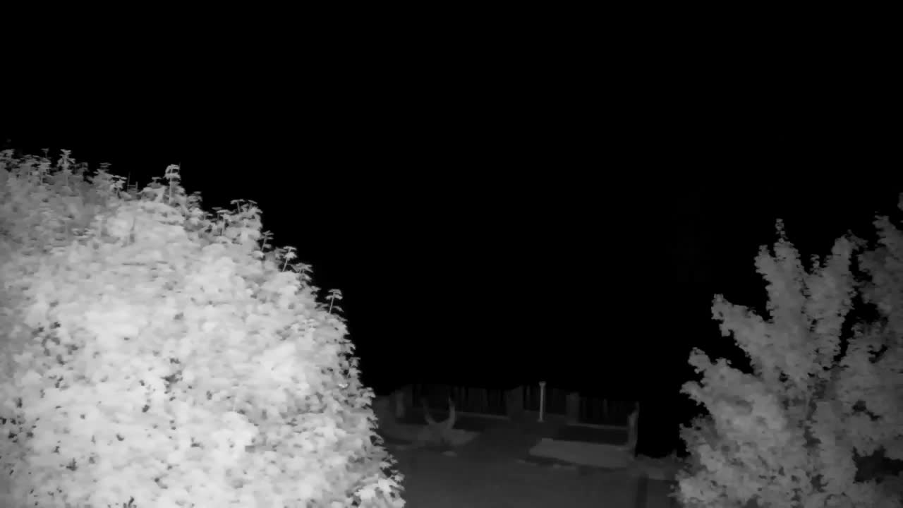 Webcam Ribnik Vrbje – Žalec