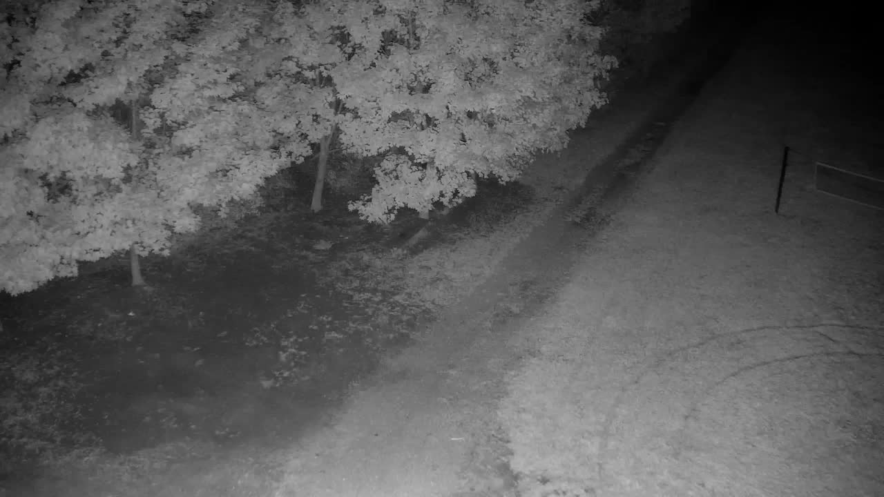 Webcam Ribnik Vrbje – Žalec