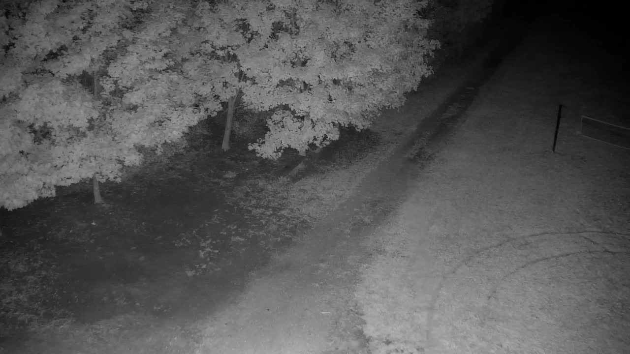 Webcam Ribnik Vrbje – Žalec
