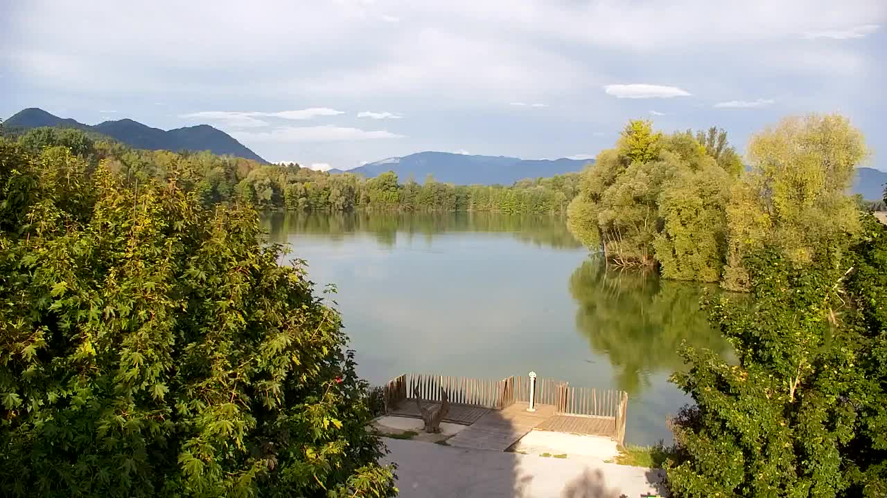 Spletna kamera Ribnik Vrbje – Žalec