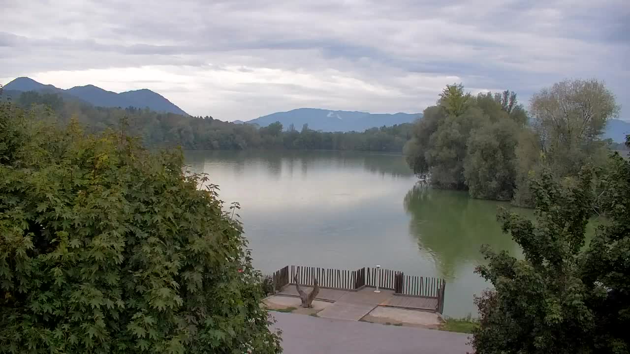 Webcam Ribnik Vrbje – Žalec