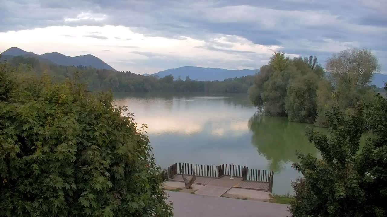 Spletna kamera Ribnik Vrbje – Žalec