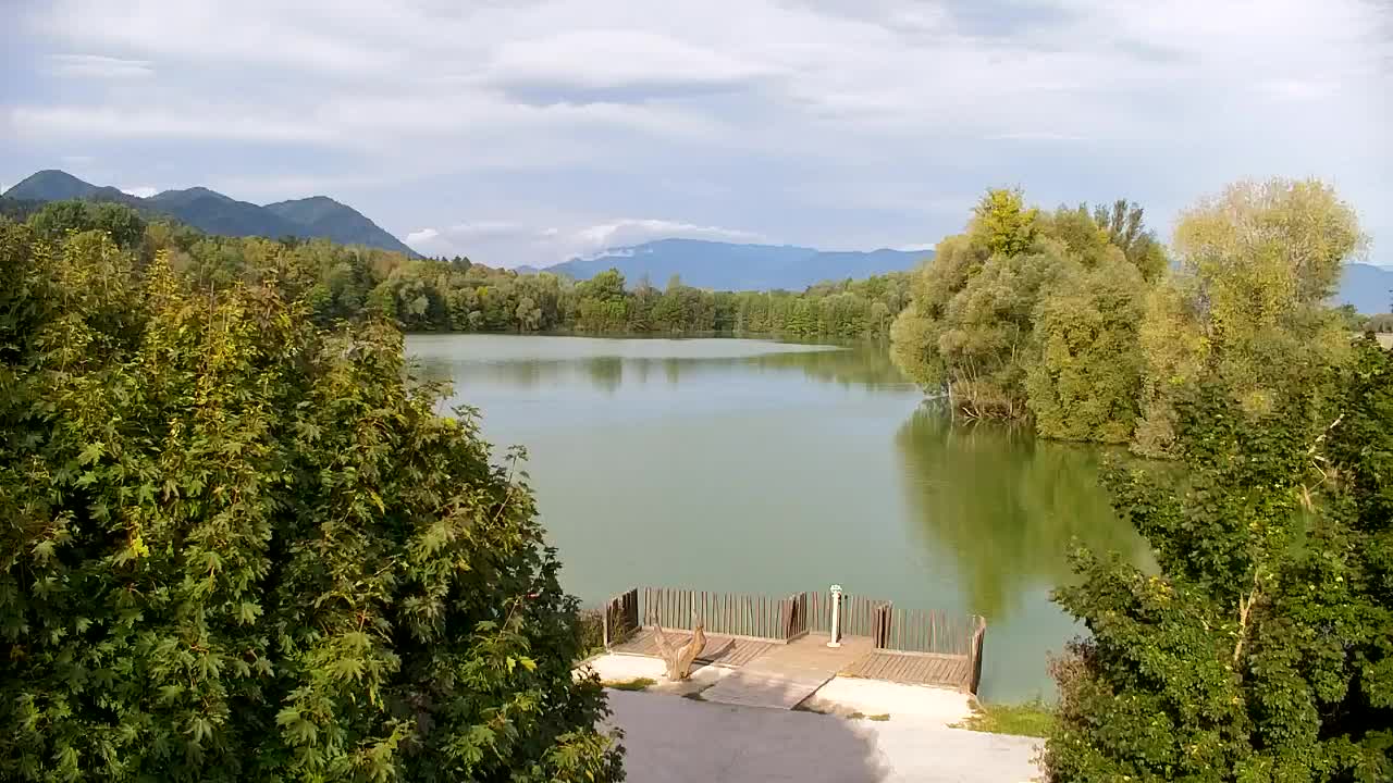 Spletna kamera Ribnik Vrbje – Žalec