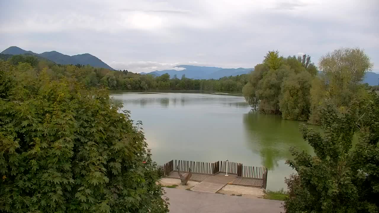 Webcam Ribnik Vrbje – Žalec