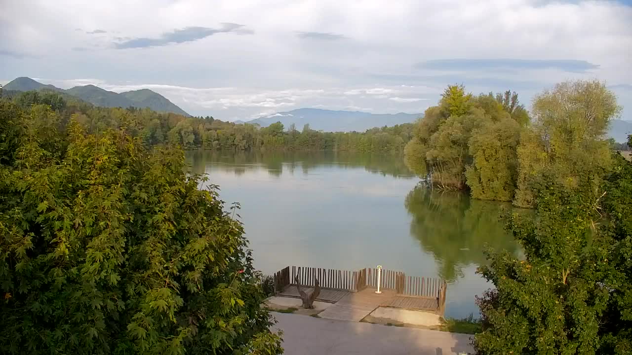 Web kamera Ribnik Vrbje – Žalec