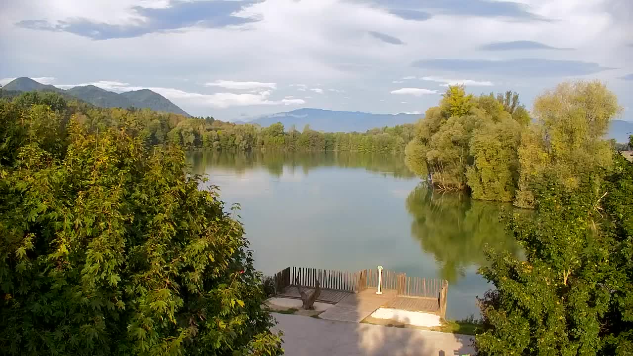 Webcam Ribnik Vrbje – Žalec