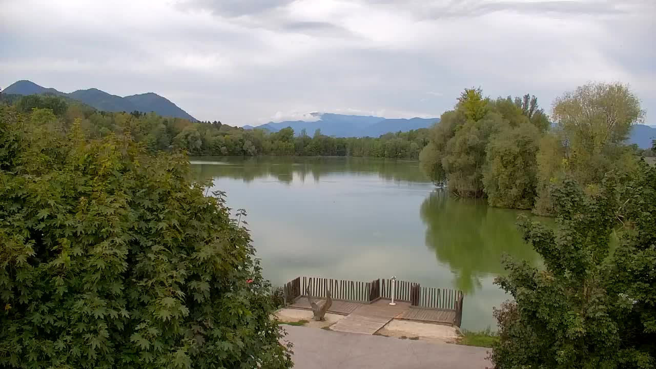 Spletna kamera Ribnik Vrbje – Žalec