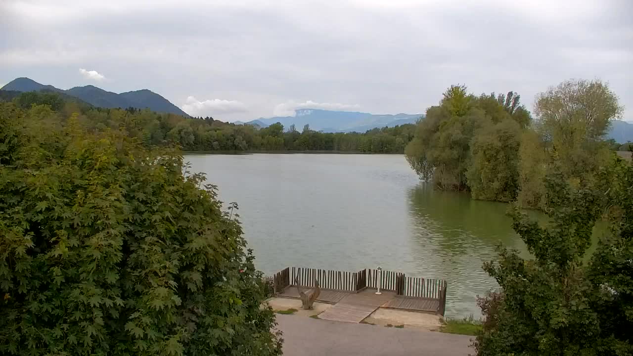 Webcam Ribnik Vrbje – Žalec