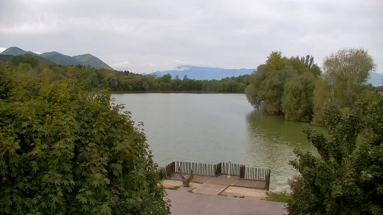 Webcam Ribnik Vrbje – Žalec