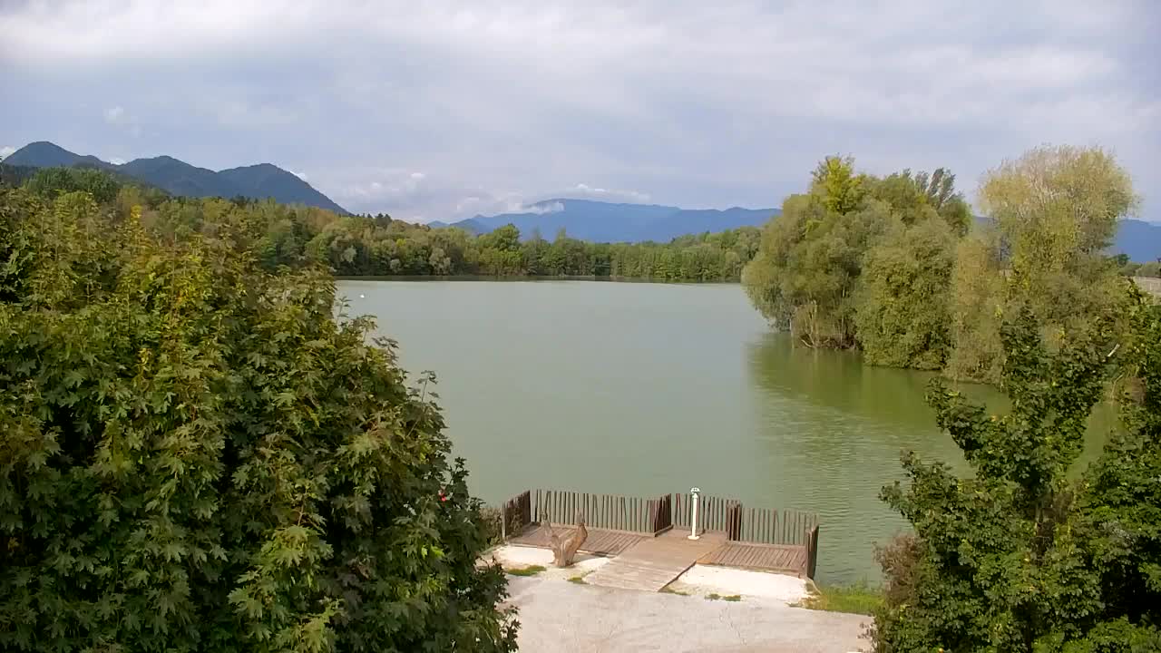 Webcam Ribnik Vrbje – Žalec