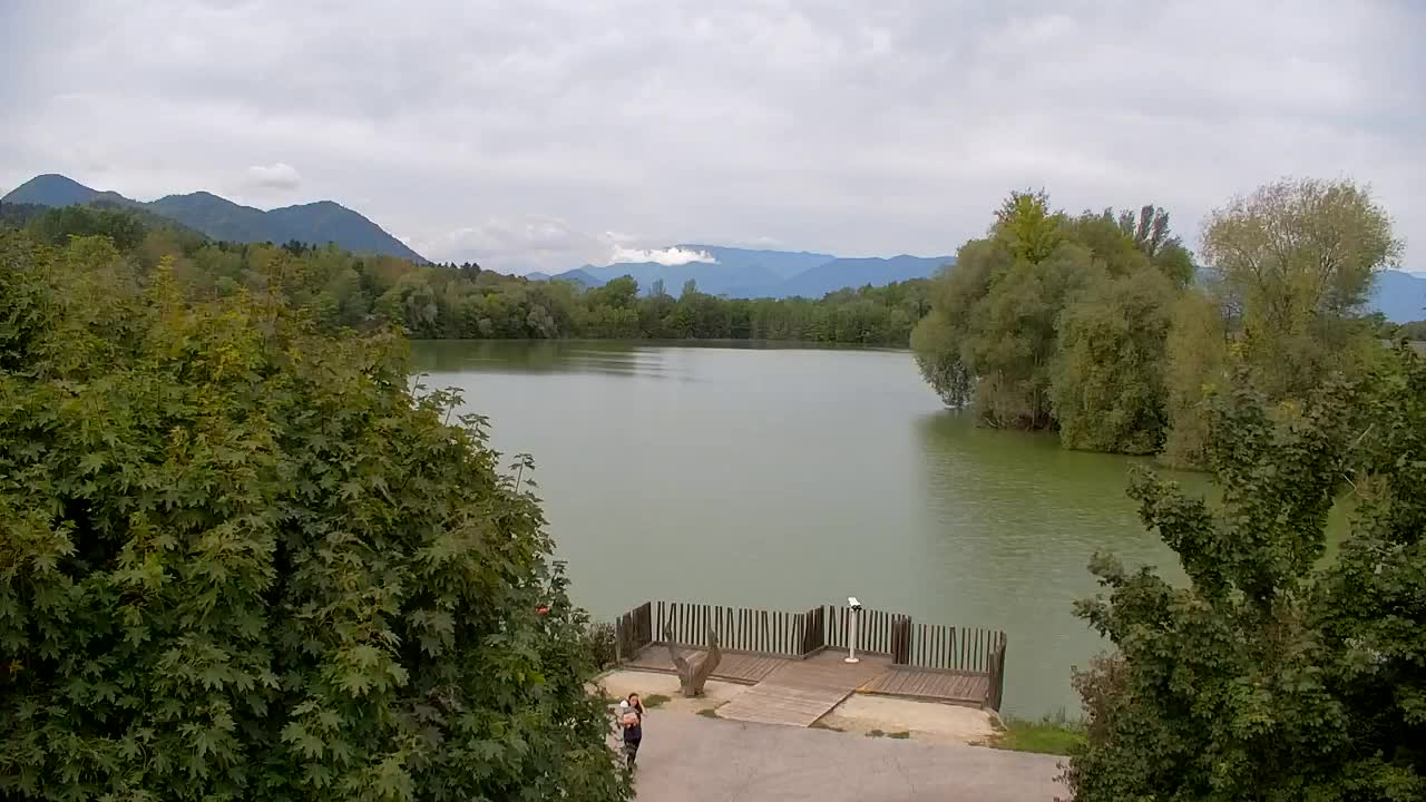 Webcam Ribnik Vrbje – Žalec
