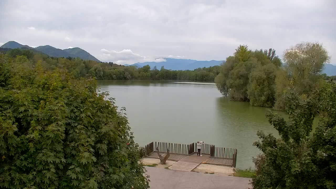 Web kamera Ribnik Vrbje – Žalec