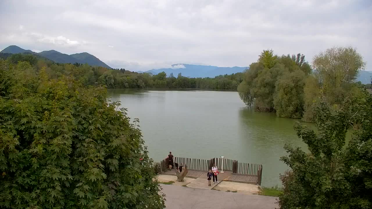 Webcam Ribnik Vrbje – Žalec