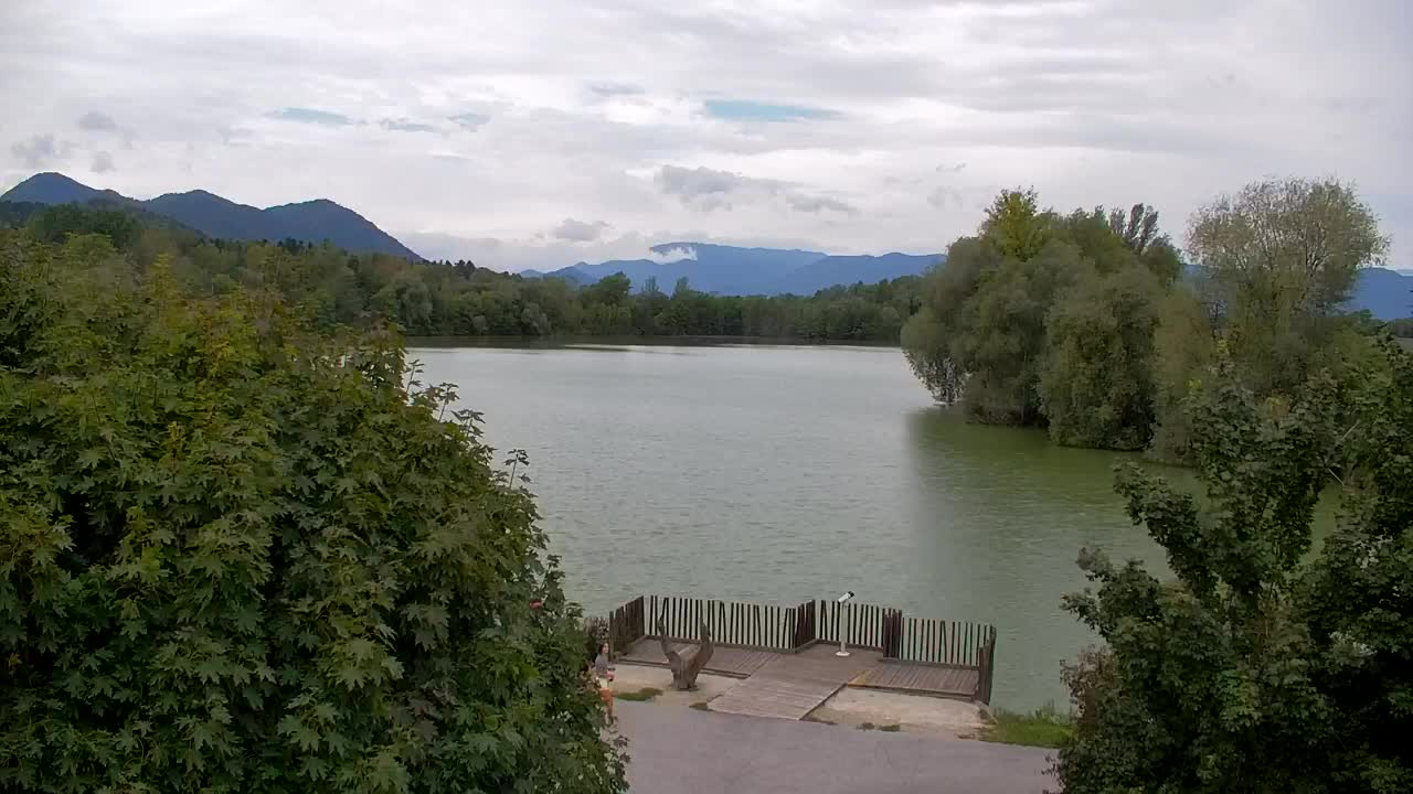 Webcam Ribnik Vrbje – Žalec
