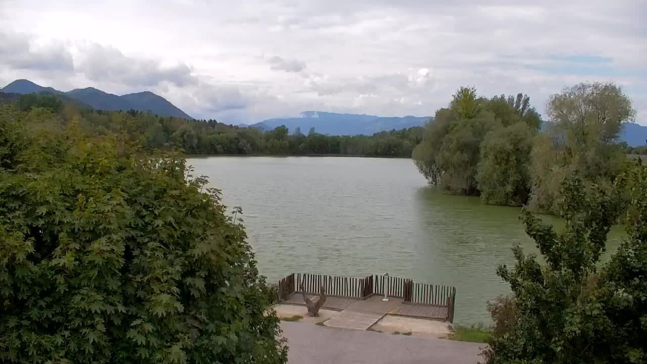 Spletna kamera Ribnik Vrbje – Žalec