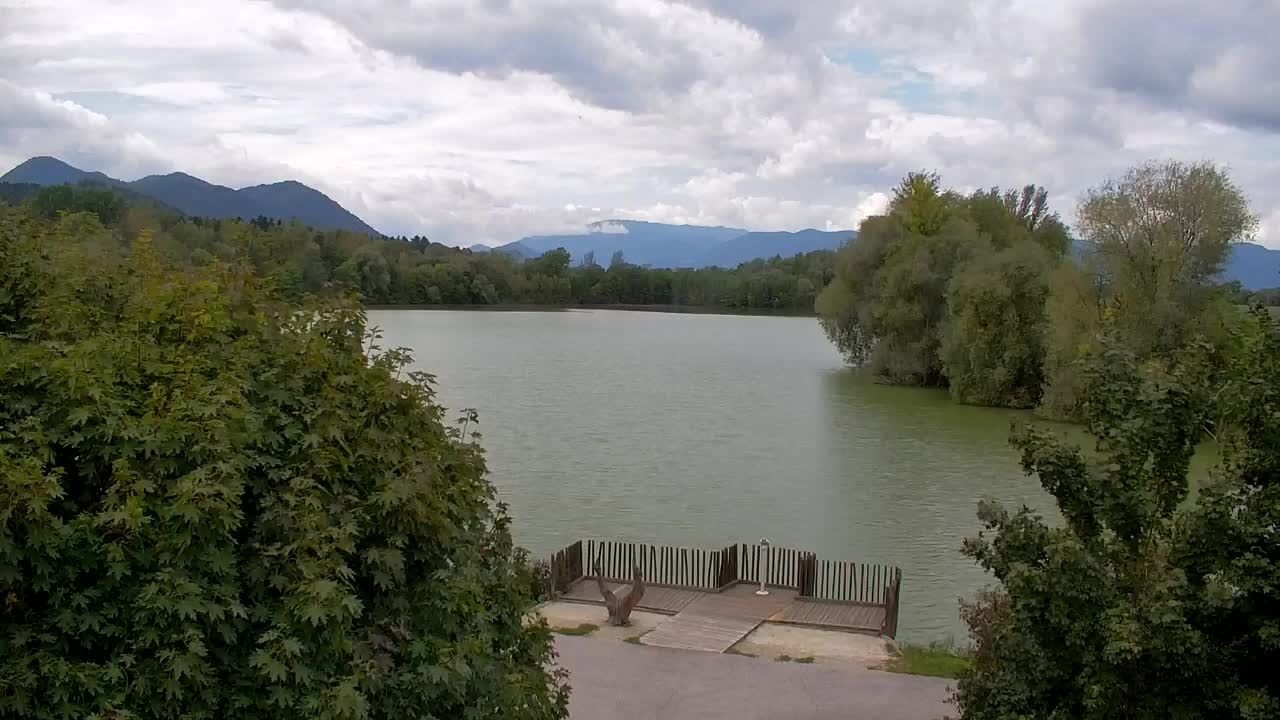 Webcam Ribnik Vrbje – Žalec