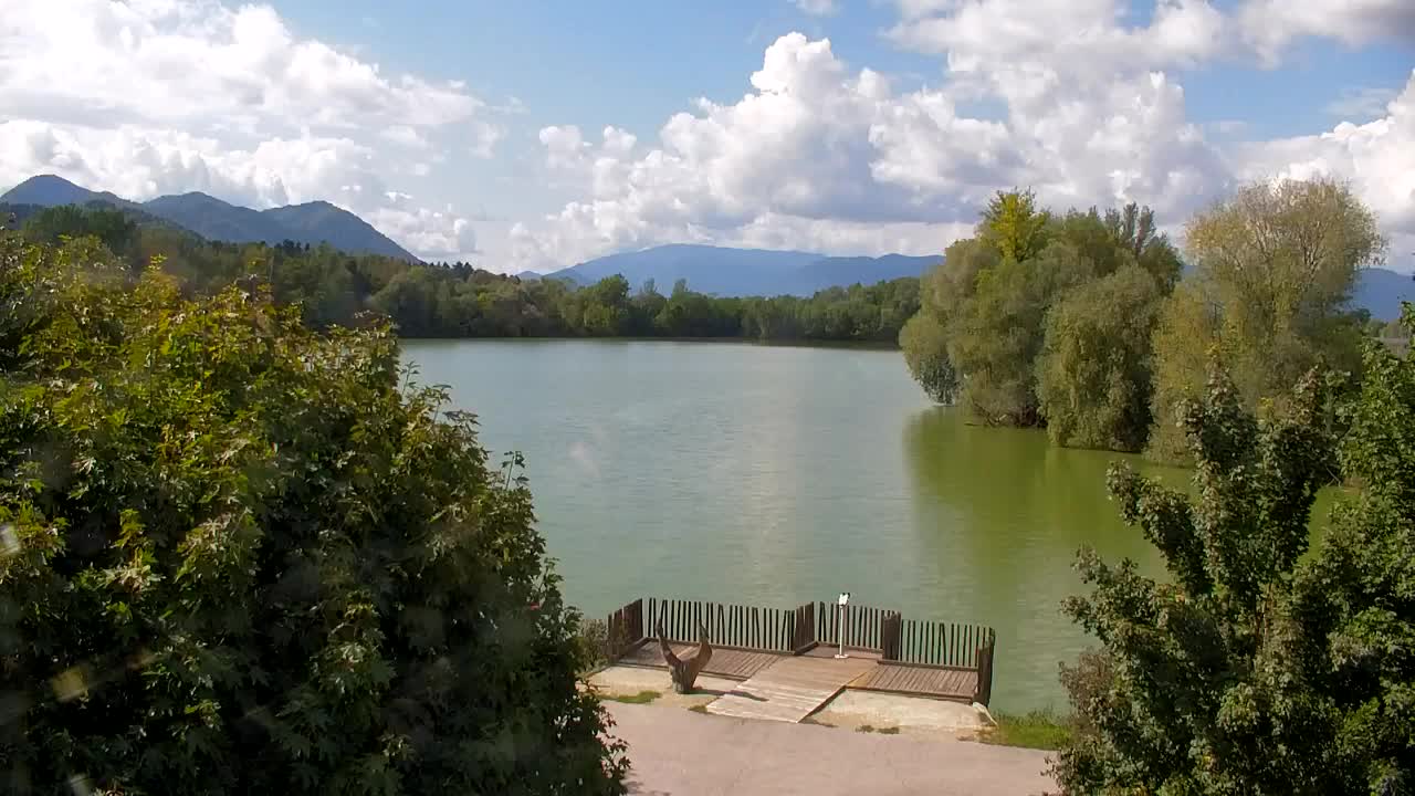Webcam Ribnik Vrbje – Žalec