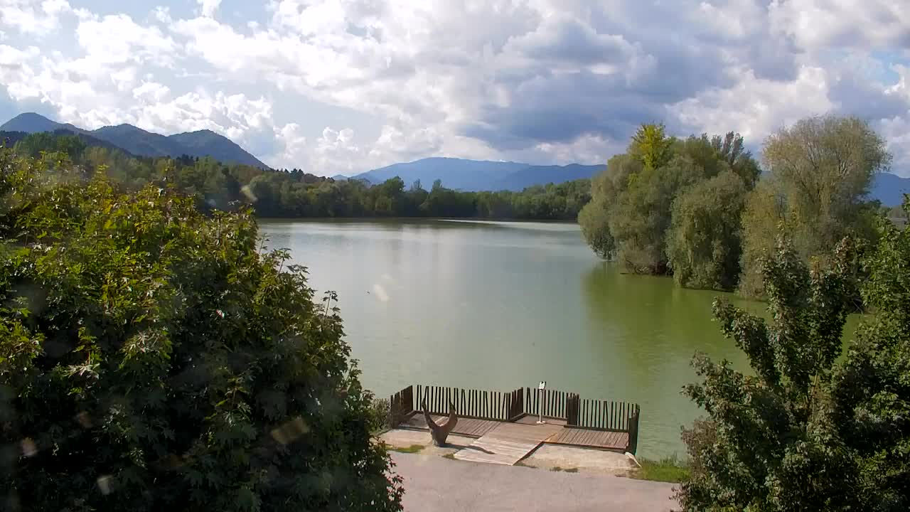 Web kamera Ribnik Vrbje – Žalec