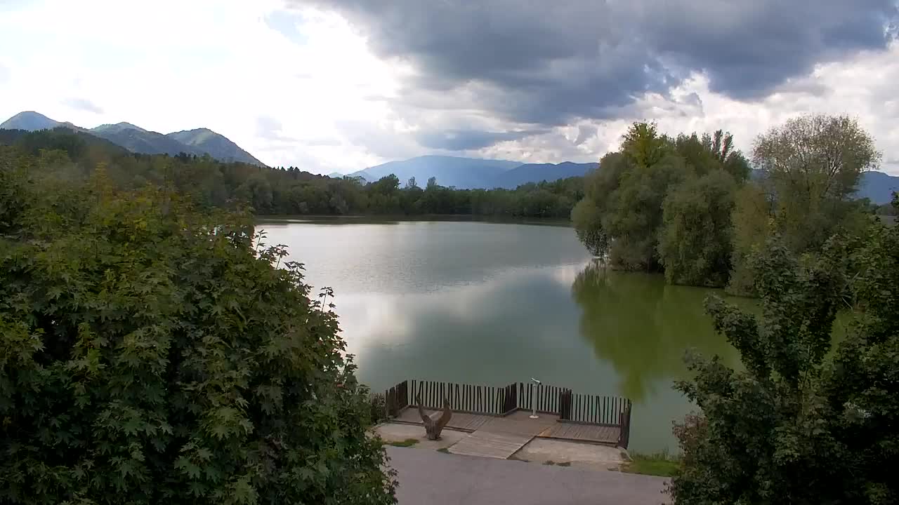 Web kamera Ribnik Vrbje – Žalec