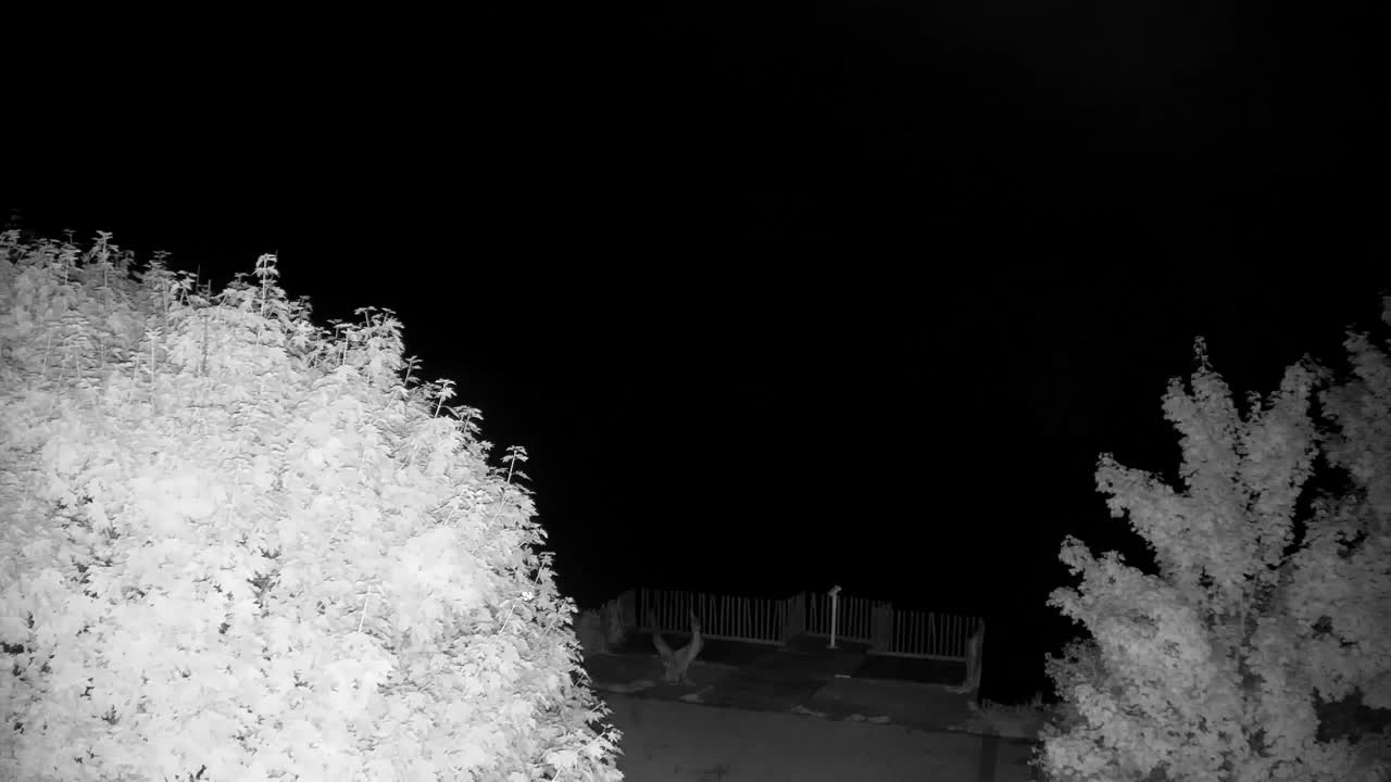 Webcam Ribnik Vrbje – Žalec