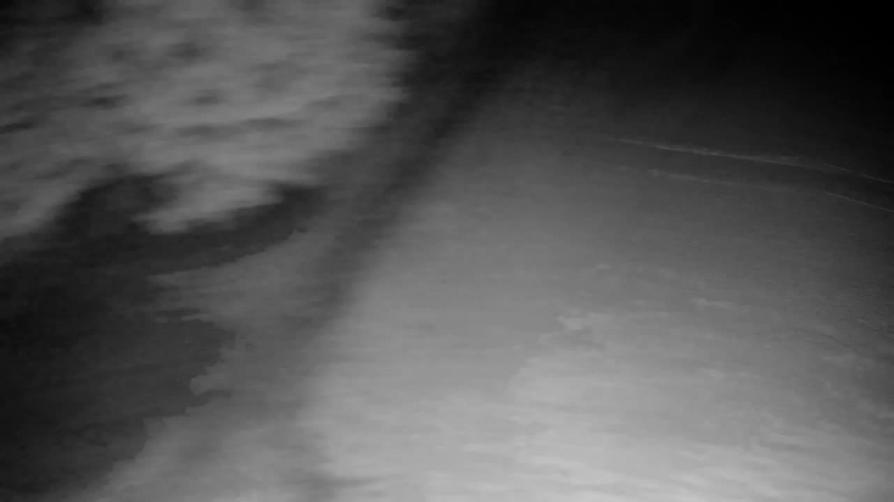 Webcam Ribnik Vrbje – Žalec