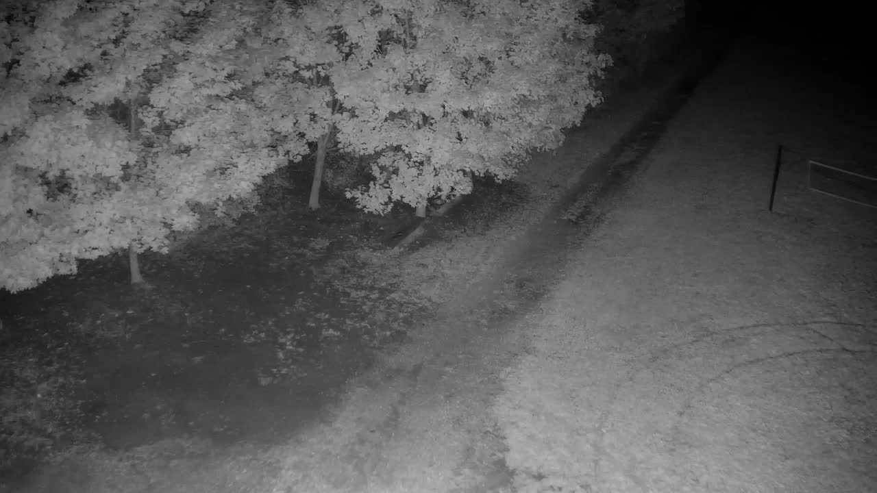 Webcam Ribnik Vrbje – Žalec