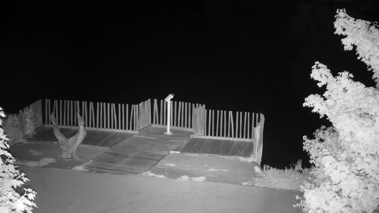 Webcam Ribnik Vrbje – Žalec
