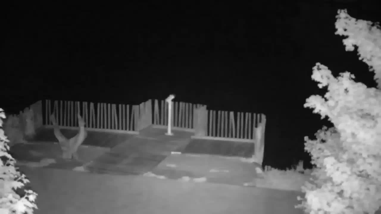 Webcam Ribnik Vrbje – Žalec