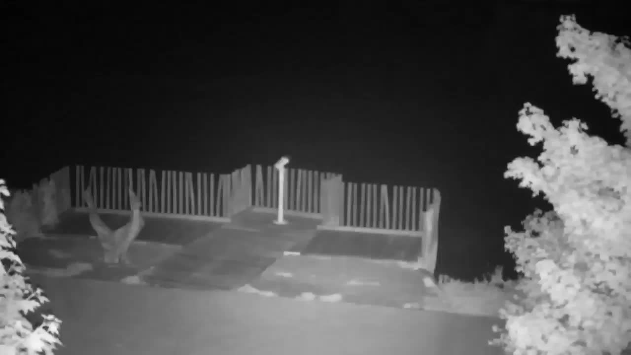 Webcam Ribnik Vrbje – Žalec