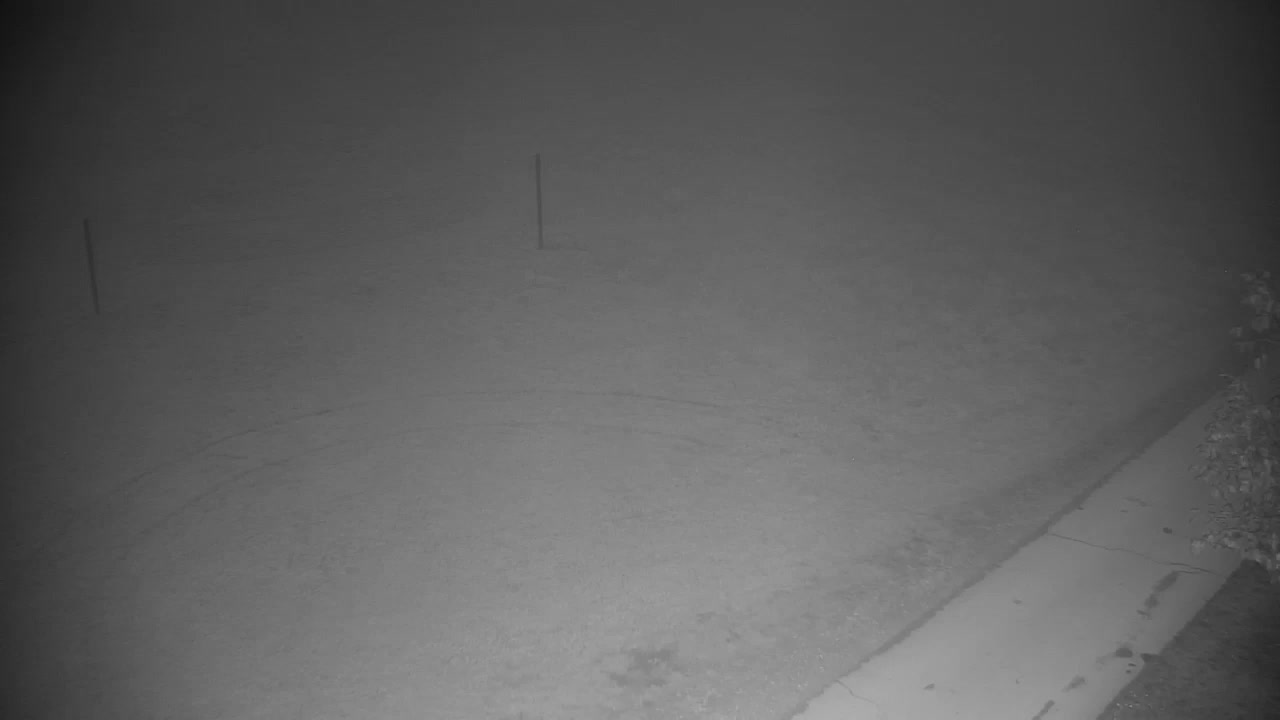 Webcam Ribnik Vrbje – Žalec